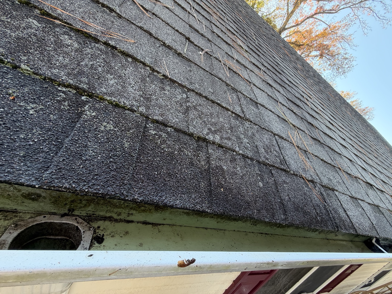 Gutter after leaves and accumulated debris were removed